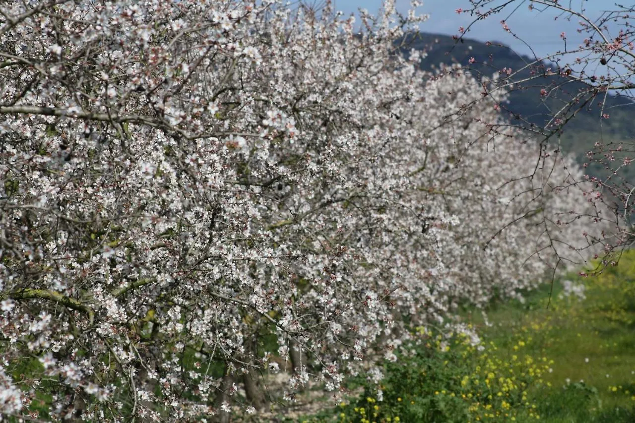 054 Finca Es Bosquerro Etv5362 By Mallorca Charme Санта-Маргарита Дом отдыха